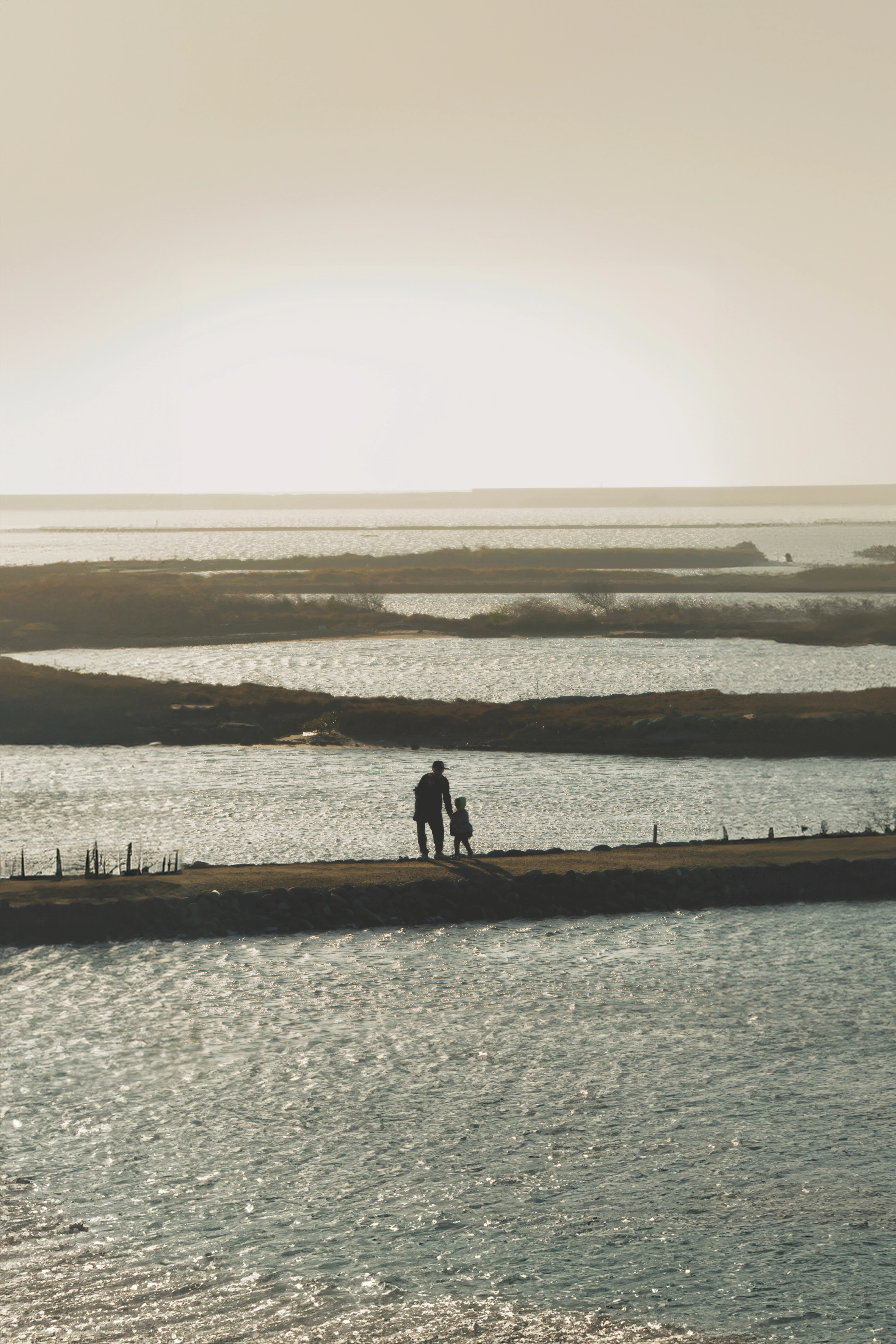 Guided by the Tides