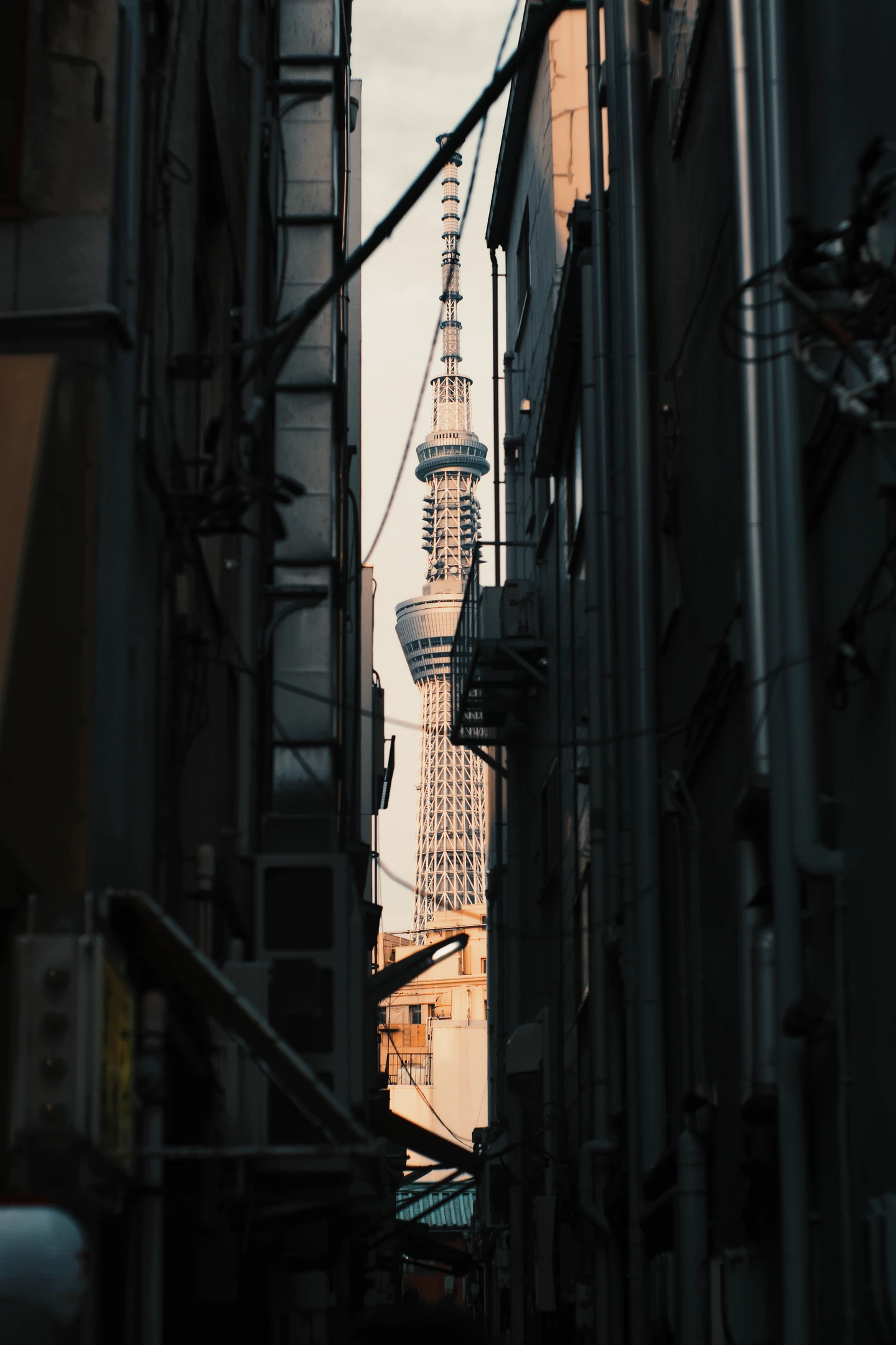 城市切片