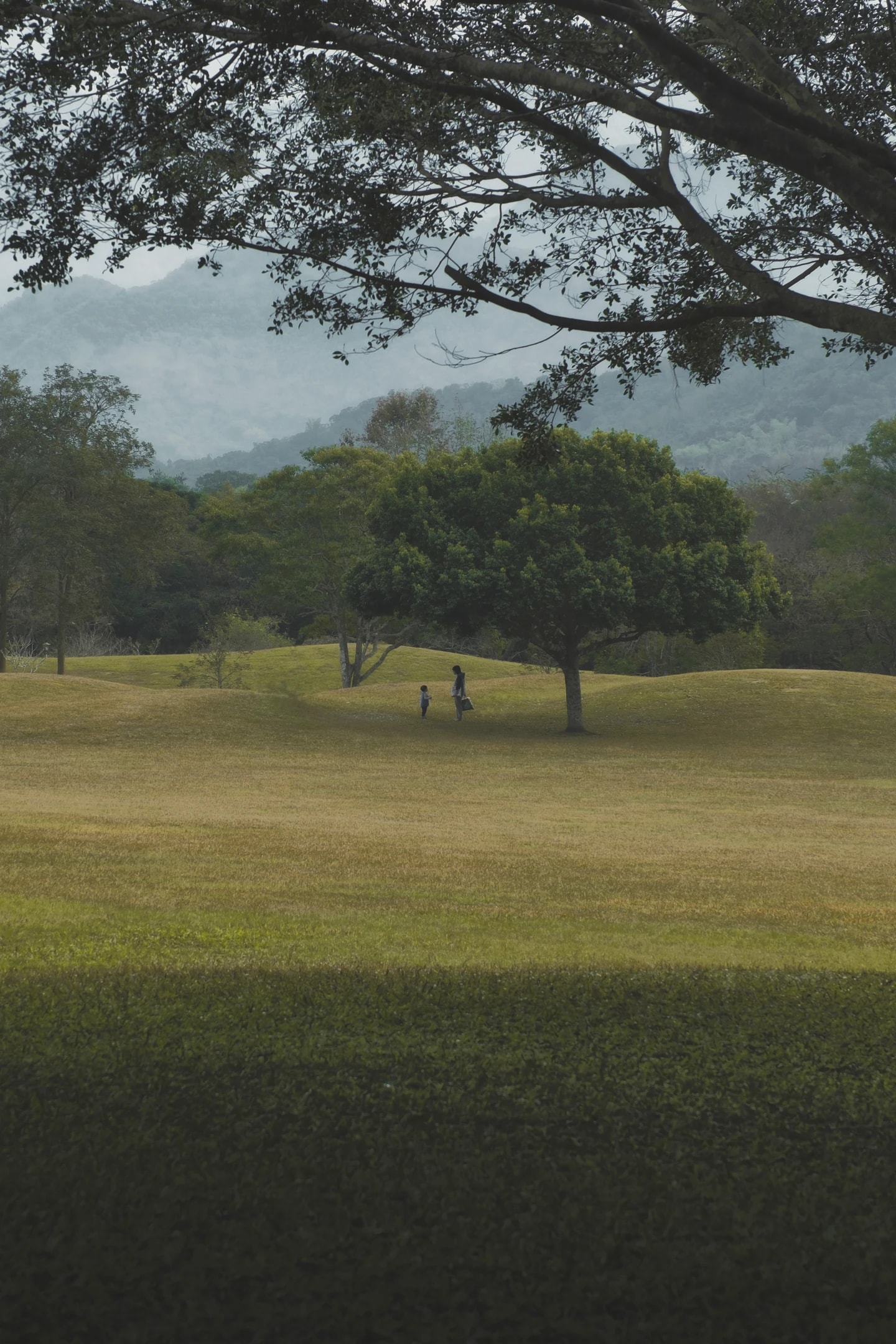 Simple in a Complex World