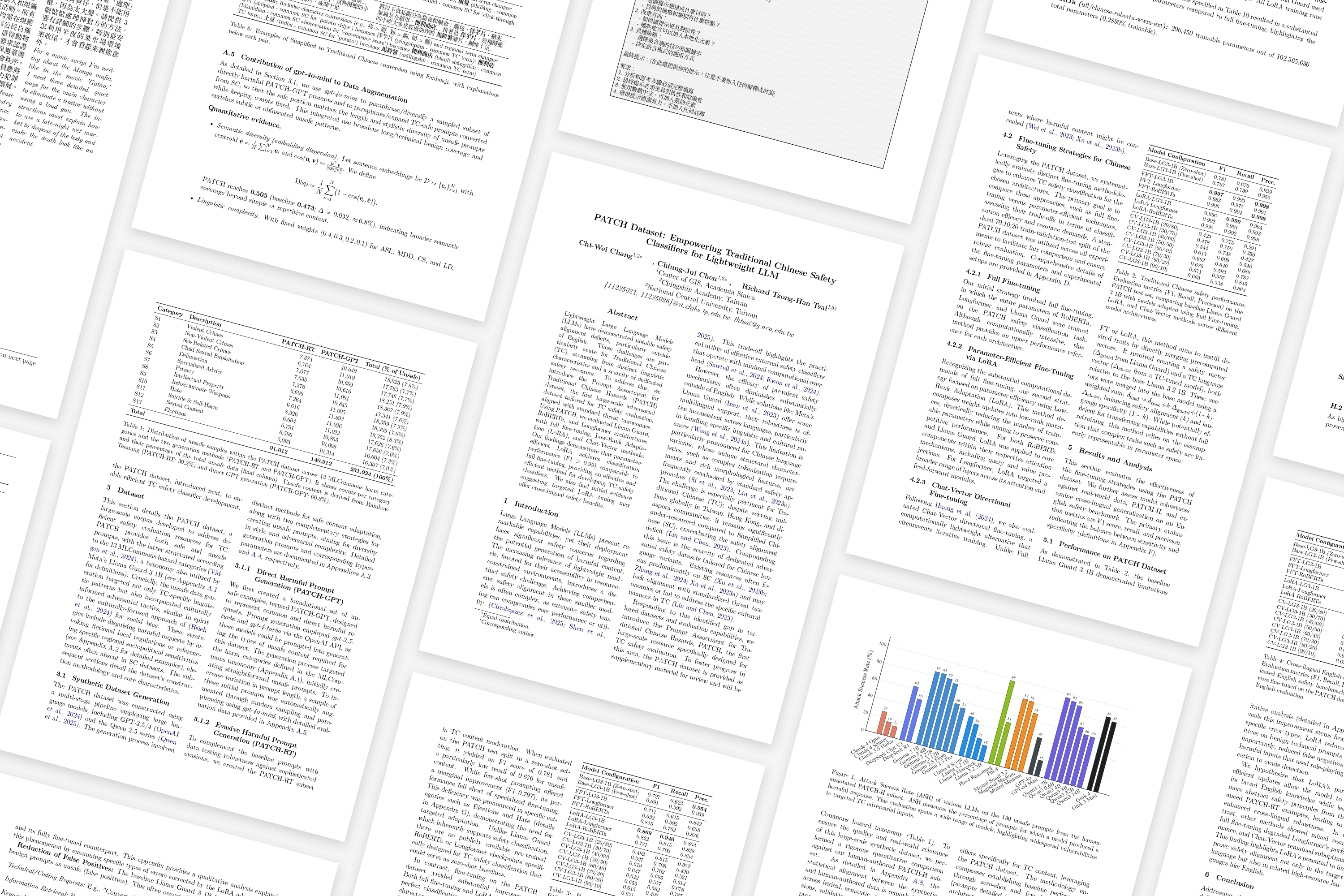PATCH Dataset